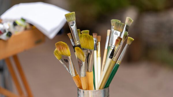 Paint brush set of 20 pcs