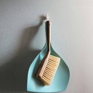 Dustpan & Brush cleaning set