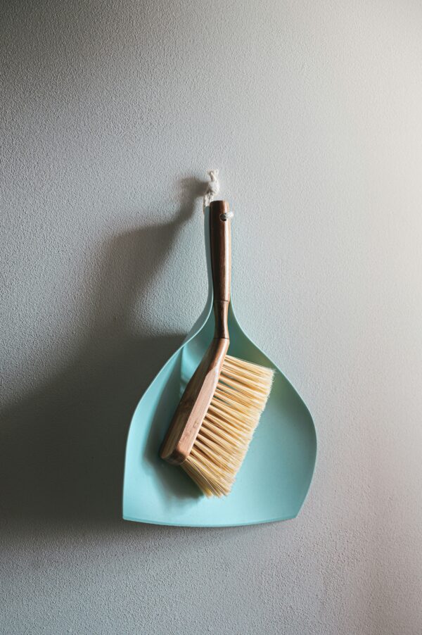 Dustpan & Brush cleaning set